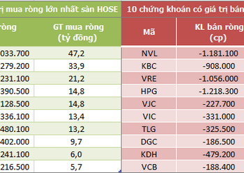 Khối ngoại bán ròng gần 200 tỷ đồng trong phiên giao dịch cuối tháng 8, NVL là tâm điểm - Ảnh 1.