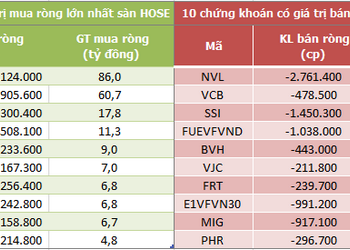 Khối ngoại bán ròng phiên thứ 5 liên tiếp trên HoSE, tập trung xả NVL - Ảnh 1.