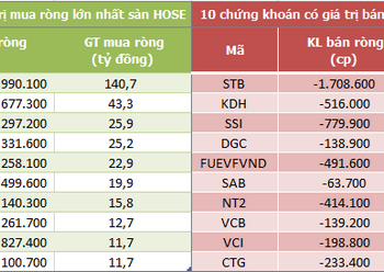 Khối ngoại tiếp tục mua ròng hơn 170 tỷ đồng trong phiên 7/9, tập trung gom HPG - Ảnh 1.