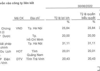 Không còn khoản lợi nhuận đột biến, lãi ròng Đầu tư I.P.A giảm 87% - Ảnh 1.