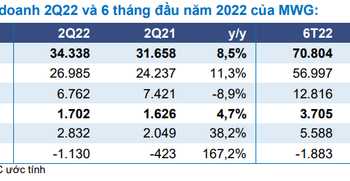 Kỳ vọng Bách Hóa Xanh chuyển từ lỗ sang lãi, lợi nhuận ròng của MWG có thể xấp xỉ 9.000 tỷ đồng vào năm 2023 - Ảnh 1.