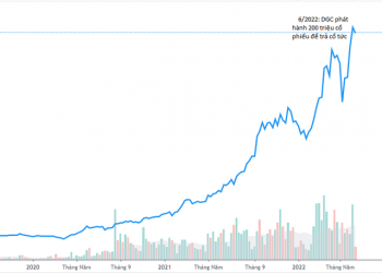 Lập kỷ lục doanh thu và lãi vào quý 2, triển vọng kinh doanh của Hoá chất Đức Giang sẽ ra sao khi giá phốt pho đã giảm 15%? - Ảnh 1.