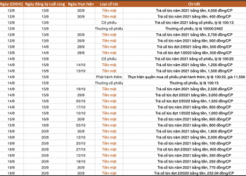 Lịch chốt quyền cổ tức, thưởng, chào bán cổ phiếu tuần 12/9 - 19/9 - Ảnh 1.