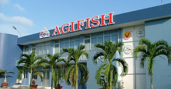 Lỗ lũy kế hơn 859 tỷ đồng, Agifish bị nghi ngờ khả năng hoạt động liên tục