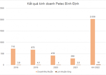 Một công ty xăng dầu được rao bán với giá cao hơn 30% thị giá - Ảnh 1.