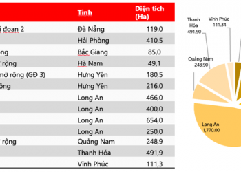 Ngành bất động sản khu công nghiệp hút vốn, doanh nghiệp tăng thành lập mới dự án - Ảnh 1.
