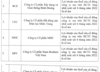 Nhiều cổ phiếu trên HoSE sẽ bị cắt margin - Ảnh 1.