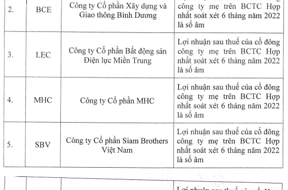 Nhiều cổ phiếu trên HoSE sẽ bị cắt margin - Ảnh 1.