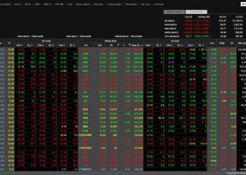 Nhà đầu tư chú ý: Nhiều công ty chứng khoán đã cung cấp bảng giá lô lẻ - Ảnh 1.