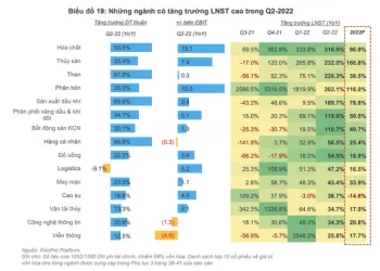 Nhiều nhóm ngành có triển vọng tươi sáng trong những tháng cuối năm 2022 - Ảnh 1.