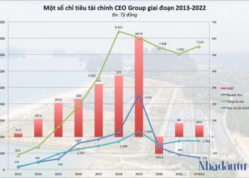 Nhìn lại đà tăng 800% của cổ phiếu CEO - Ảnh 1.