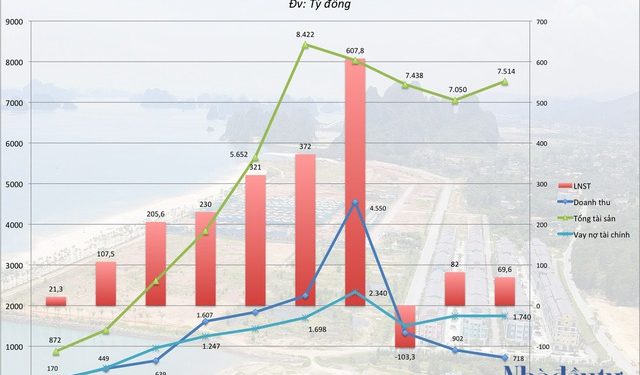 Nhìn lại đà tăng 800% của cổ phiếu CEO - Ảnh 1.