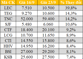 10 cổ phiếu tăng/giảm mạnh nhất tuần: Nhóm xây dựng là tâm điểm - Ảnh 1.