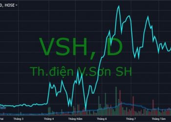 REE muốn gom thêm 4 triệu cổ phiếu của Thủy điện Vĩnh Sơn – Sông Hinh (VSH) - Ảnh 1.