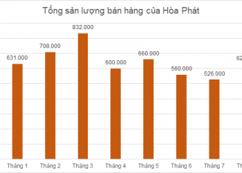 Sản lượng bán hàng thép Hòa Phát tháng 8 tăng 19% so với tháng 7 - Ảnh 1.