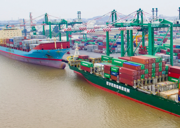 Sau nhiều biến động cổ đông, người có liên quan tới T&D ứng cử vào HĐQT Viconship - Ảnh 1.