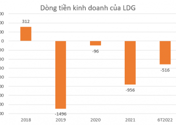 Sau nhiều lần trì hoãn, LDG lại lên kế hoạch trả cổ tức 2019 vào quý III hoặc quý IV năm nay - Ảnh 1.