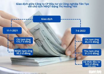 Tân Tạo có đang bị rút ruột tài sản? - Ảnh 1.