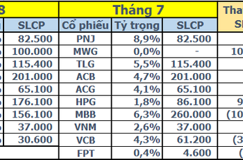 Thận trọng trước biến động ngoại cảnh, quỹ đầu tư của SGI Capital vẫn “túc tắc” giải ngân - Ảnh 1.