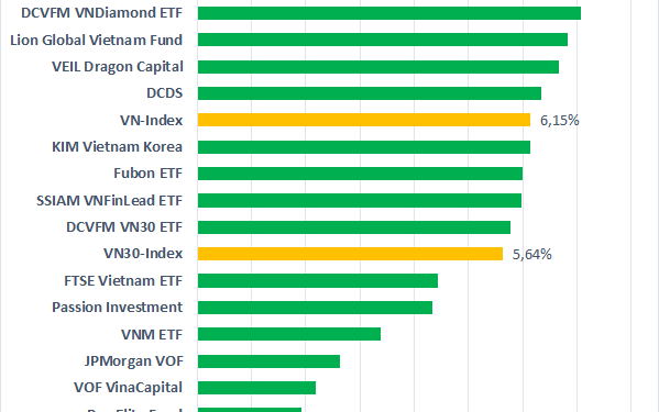 Thị trường chứng khoán hồi phục, các quỹ đầu tư lớn bớt lỗ sau tháng 8 - Ảnh 1.