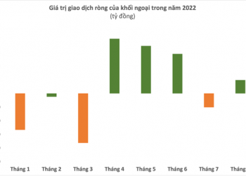 Thị trường chứng khoán hồi phục, khối ngoại trở lại mua ròng 980 tỷ đồng trong tháng 8 - Ảnh 1.