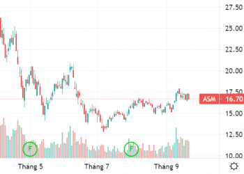 Thị trường không thuận lợi, Tập đoàn Sao Mai hủy phương án phát hành hơn 168 triệu cổ phiếu - Ảnh 1.