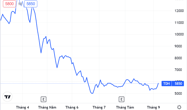 Thuduc House giảm phân nửa số lượng và hạ giá chào bán cổ phiếu riêng lẻ - Ảnh 1.