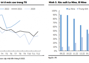 Triển vọng nhóm thủy điện tươi sáng đến hết năm 2022 trong khi nhiệt điện sẽ hưởng lợi vào năm sau? - Ảnh 1.