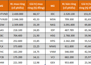 Tự doanh CTCK bán ròng trở lại 373 tỷ đồng trong tuần từ 5-9/9, IDC là tâm điểm - Ảnh 1.