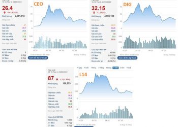 Từng làm mưa, làm gió trên thị trường, các “siêu cổ phiếu” DIG, CEO, L14 và “họ” FLC giờ ra sao? - Ảnh 1.