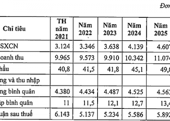 VEAM lên kế hoạch lợi nhuận giai đoạn 2021-2025 tăng bình quân 5-8%/năm - Ảnh 1.