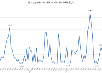 VEIL đảo chiều sang bán ròng trong tuần trước kỳ nghỉ lễ Quốc khánh - Ảnh 1.