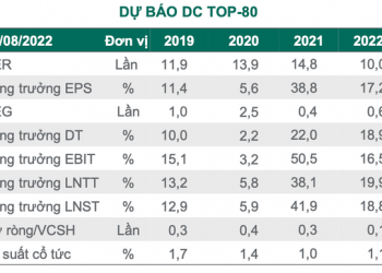 Dragon Capital: VN-Index sẽ không xuyên thủng ngưỡng 1.200 điểm - Ảnh 1.