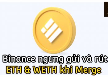 ViMoney-Binance