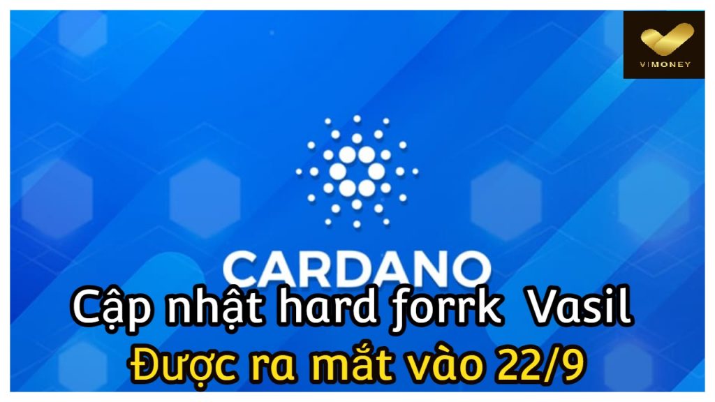 ViMoney-Cardano