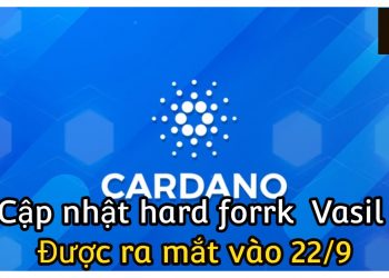 ViMoney-Cardano