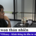 ViMoney: Bản tin ViMoney ngày 27/9: Do Kwon thản nhiên khi bị truy nã đỏ