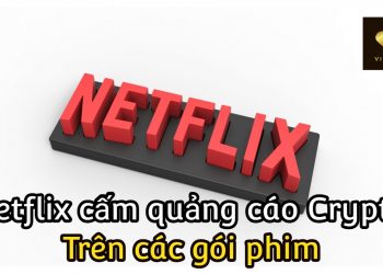 ViMoney-Netflix