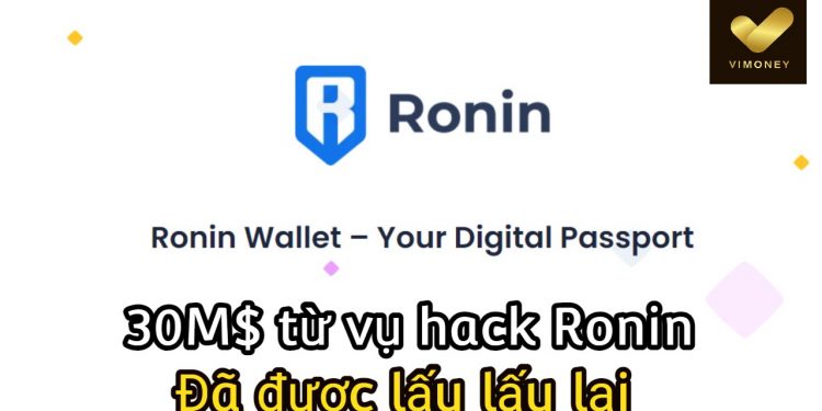 ViMoney-Ronin