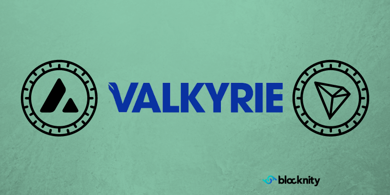 ViMoney: Valkyrie nhận được 74 triệu đô la đầu tư 2 quỹ tín thác tập trung vào tiền điện tử