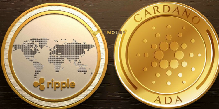 XRP và ADA tăng giá bất chấp bão gấu