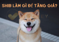 Shiba Inu đã làm gì để đẩy nhanh tương lai chạm mốc 1 USD?