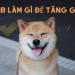 Shiba Inu đã làm gì để đẩy nhanh tương lai chạm mốc 1 USD?