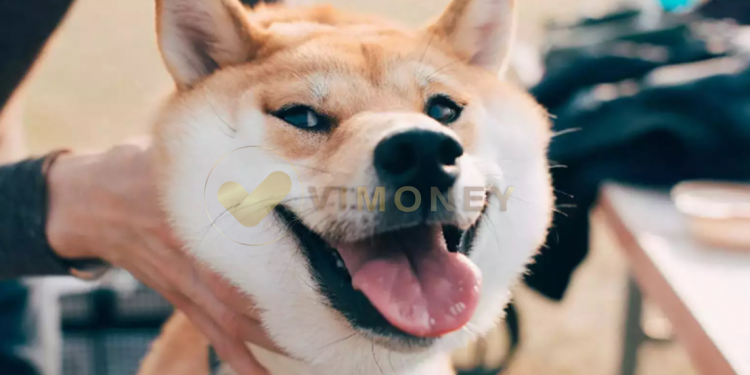 Mất bao lâu để chờ SHIB đạt 1 USD?