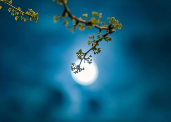 Tin nóng: Terra Classic (LUNC) liên tiếp tăng giá bất thường