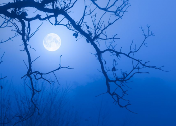 HOT: Phá vỡ giới hạn, Terra Classic (LUNC) tăng 37.000%!