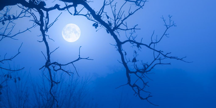 HOT: Phá vỡ giới hạn, Terra Classic (LUNC) tăng 37.000%!