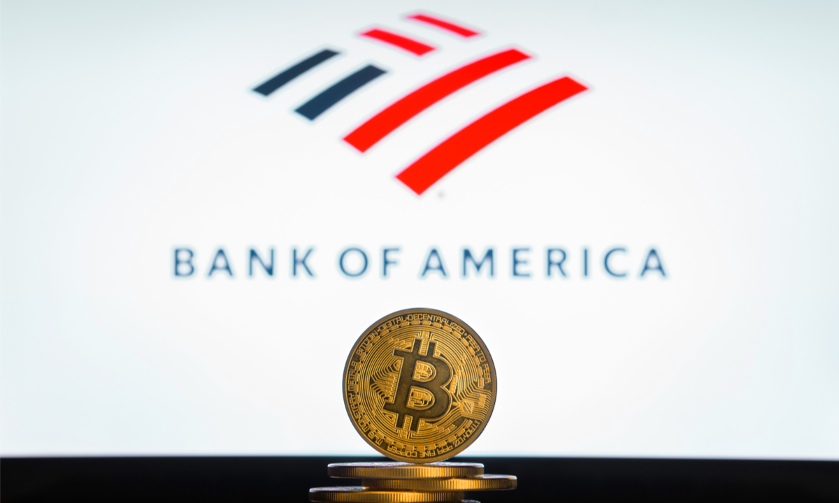 ViMoney: Bank of America: Tiền điện tử vẫn đóng vai trò là tài sản rủi ro