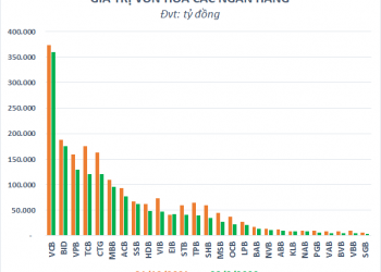 Vốn hóa “bốc hơi” gần 16 tỷ USD từ đầu năm, nhiều khó khăn vẫn bủa vây cổ phiếu ngân hàng - Ảnh 1.