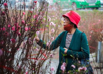 Bộ Tài chính đề xuất phương án nghỉ Tết 9 ngày